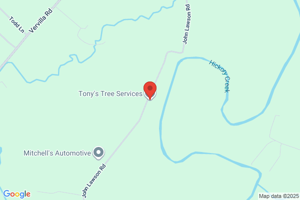 Tony's Tree Service