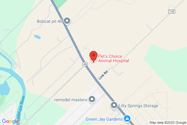Pet's Choice Animal Hospital