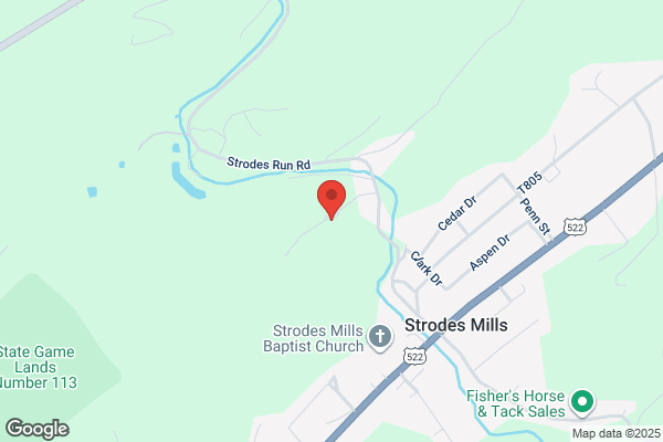Strodes Run Kennel LLC