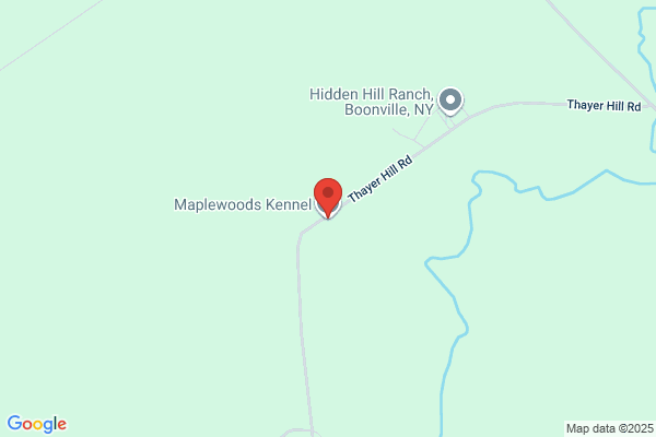 Maplewood Boarding Kennel
