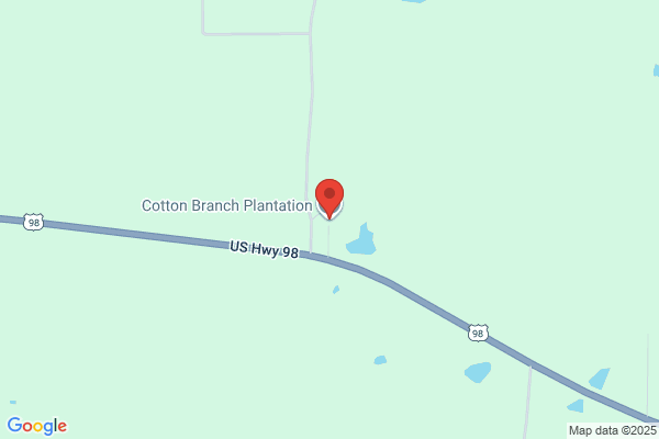 Cotton Branch Plantation