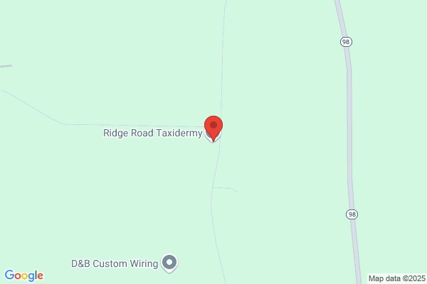 Ridge Road Taxidermy