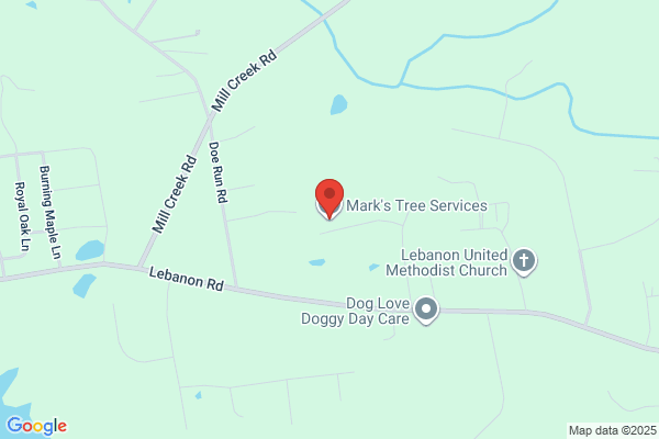 Mark's Tree Service