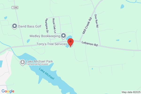 Torry's Tree Service