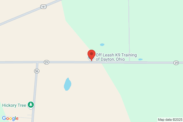 Off Leash K9 of Dayton Ohio