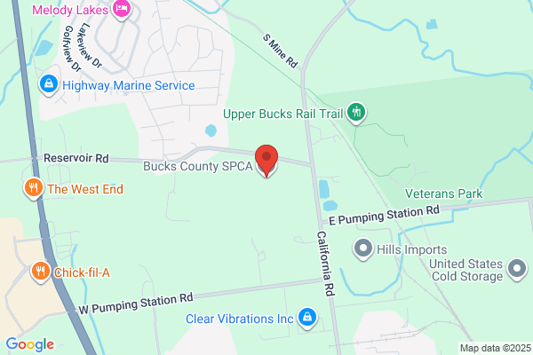 Bucks County Society Prevention of Cruelty To Animals