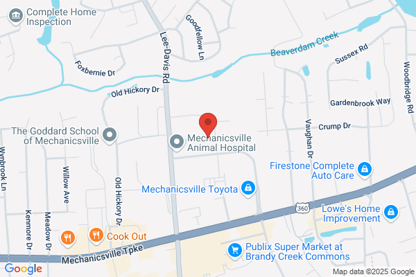 Lee Davis Market