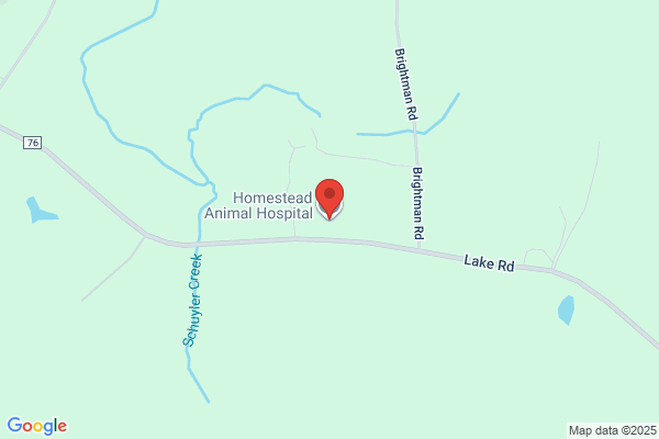 Homestead Animal Hospital