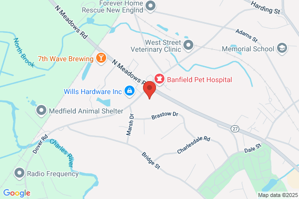 The Goddard School of Medfield