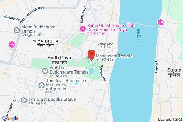 Bodhi Tree