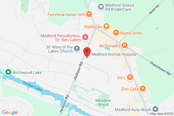 South Jersey Animal Hospital
