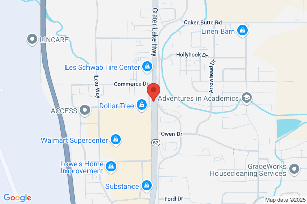 Advance Auto Parts
