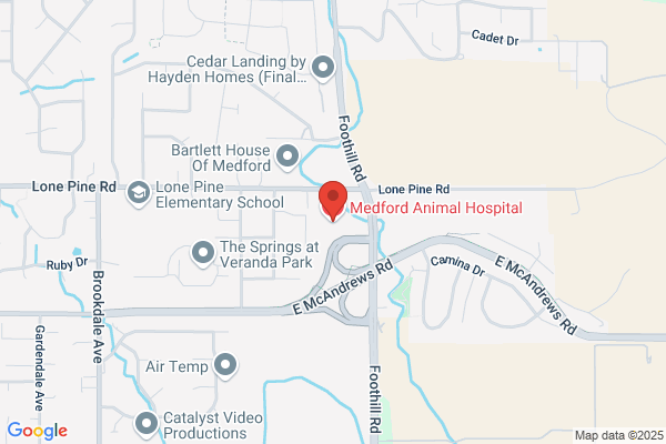 Orchard Hill Veterinary Hospital