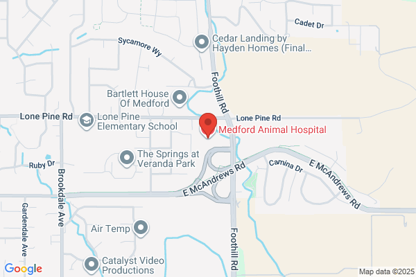 Medford Animal Hospital