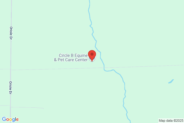 Circle B Equine & Pet Care Center