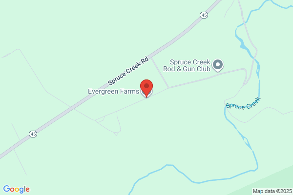 Handel Evergreen Farms