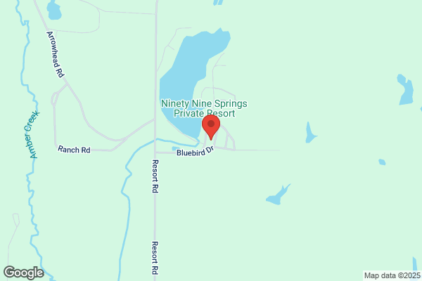 Ninety Nine Springs