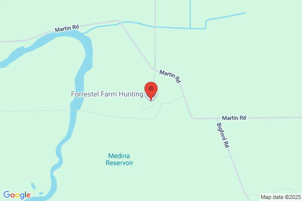 Forrestel Farm Riding Camp