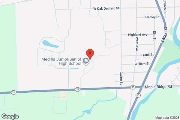 Medina Central Schools, High School