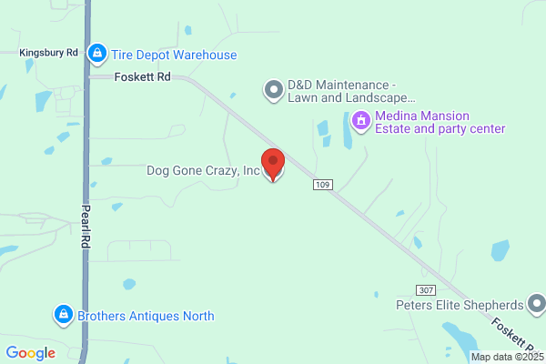 Douglass Canine Bed & Breakfast