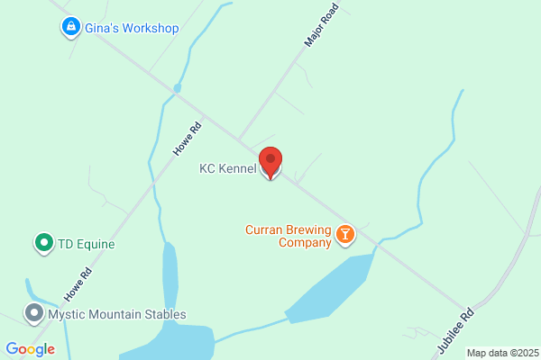 Kc Kennels