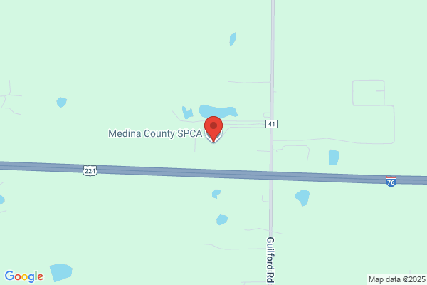 Medina County Spca
