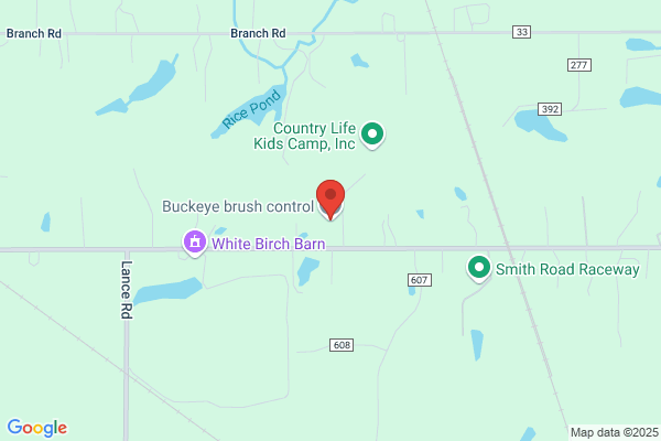 Buckeye Bat Company LLC