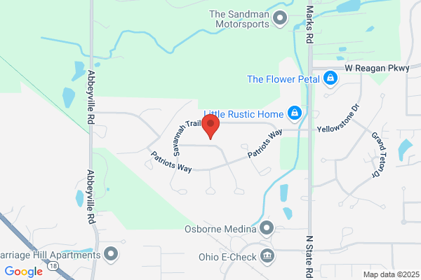 Littlefield Group Inc the