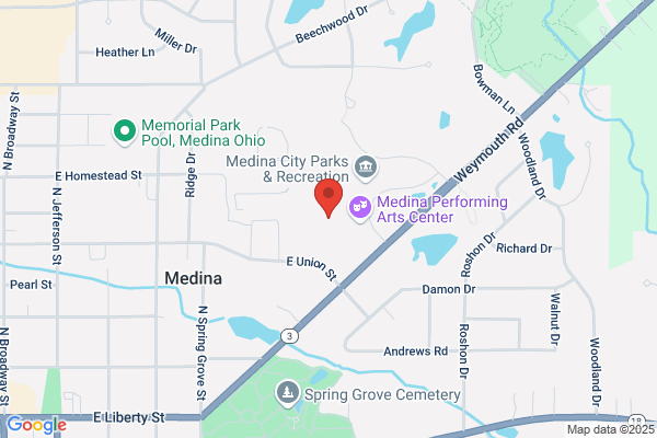 Schools, Medina City School District, Medina Senior High School
