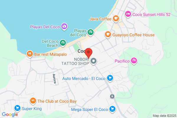 Papagayo Seafood International Inc