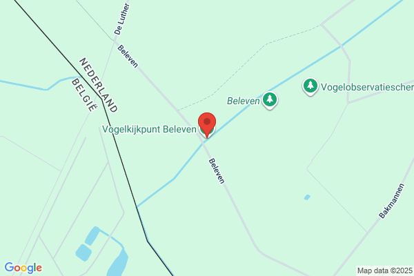 Beleven 11, LLC