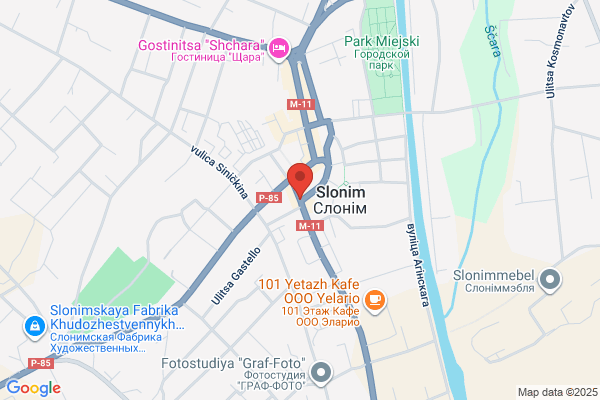 Slonim International