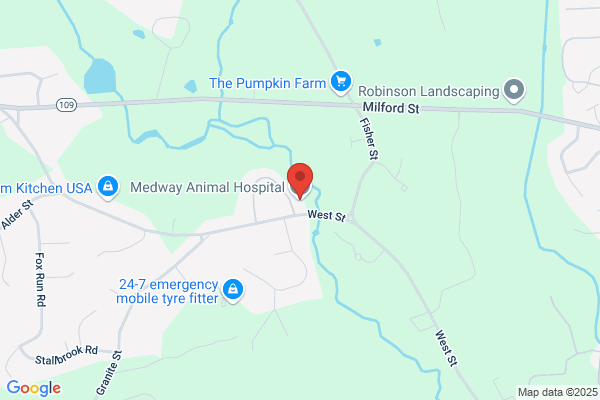 Medway Animal Hospital