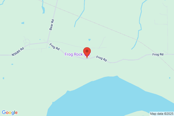 Frog Habitat