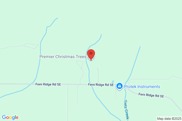 Premier Christmas Trees