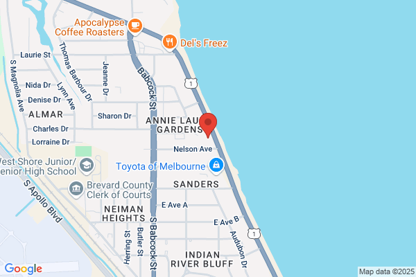 Edison's Electric Service