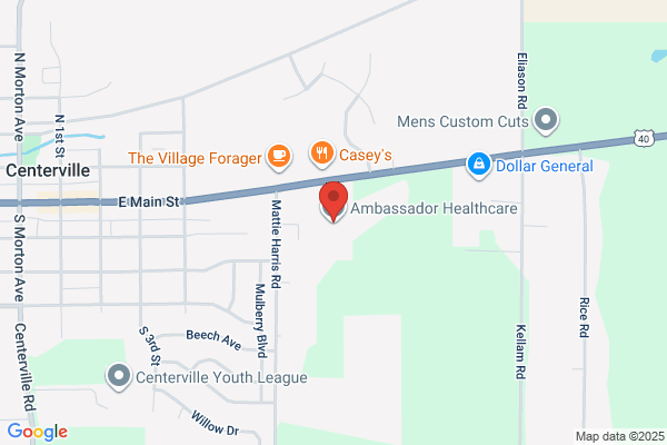 Ambassador Health Services, Inc.