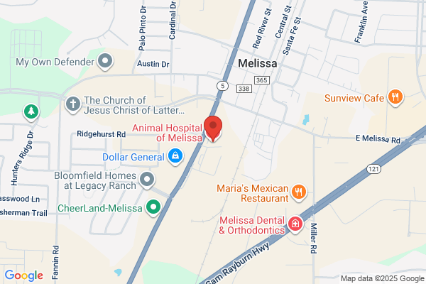 Animal Hospital of Melissa