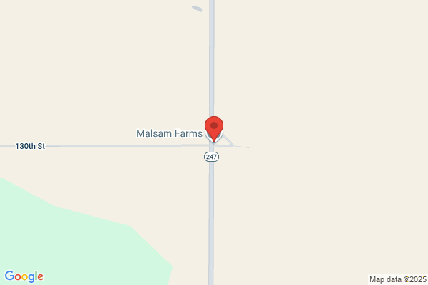 Malsam Company