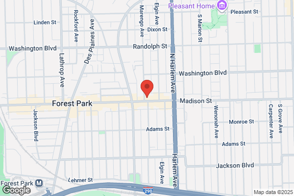Forest Park Chiropractic Services