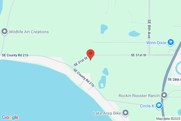 Florida Detention Systems Inc