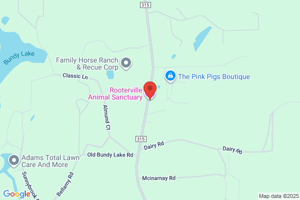 Rooterville Animal Sanctuary