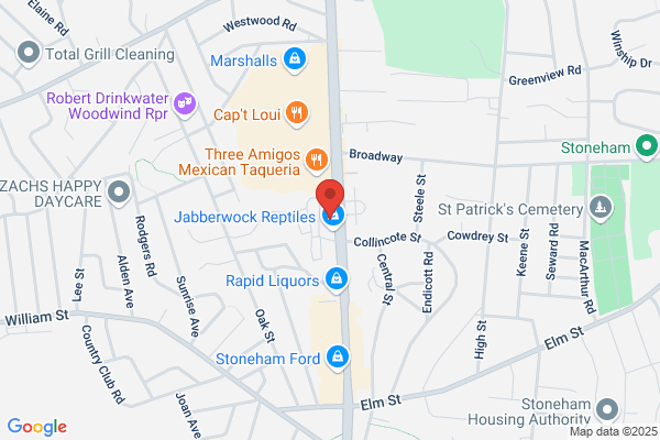 AutoZone Auto Parts