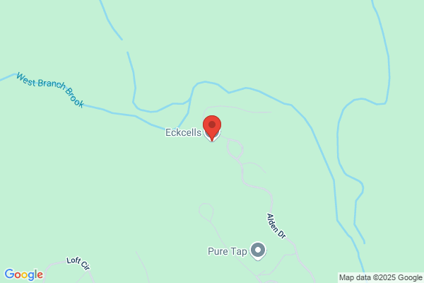 Eckcells
