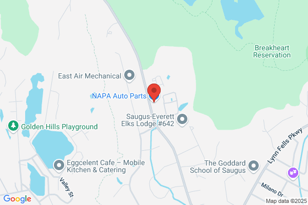 NAPA Auto Parts BOS008