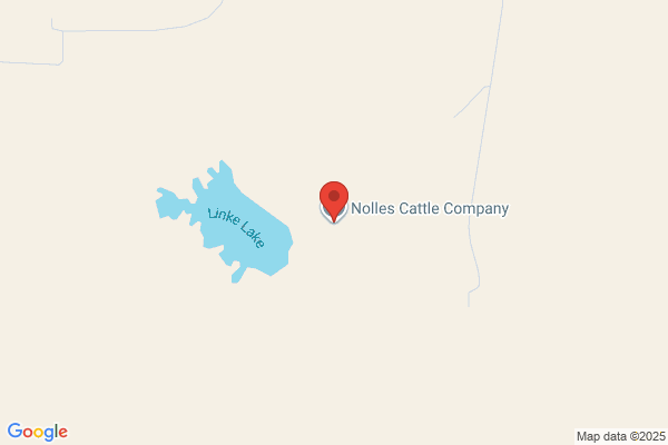 Noyce Cattle Company