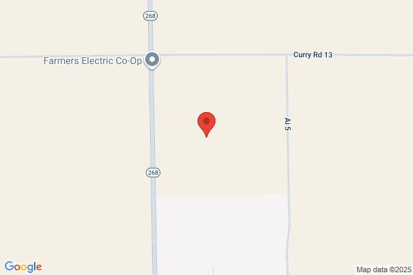 Dick's Electric