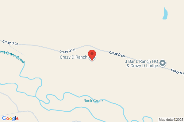 Crazy D Shop