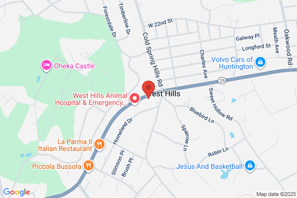 Gold Coast Center for Veterinary Care
