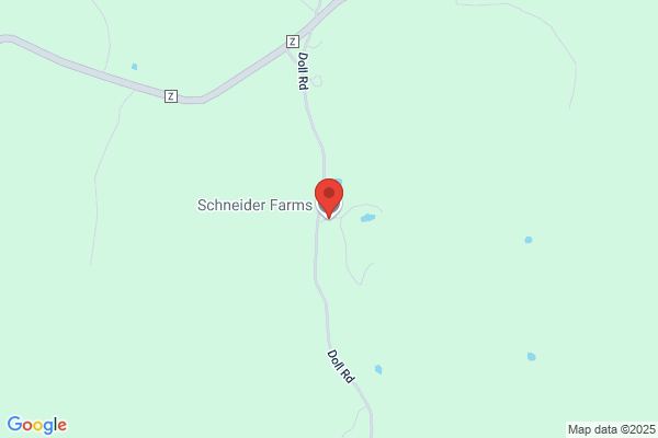 Schneider Farms